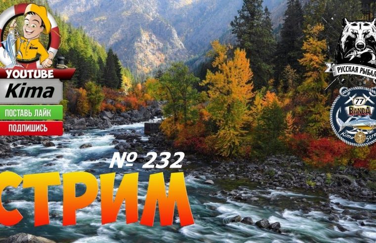 Русская рыбалка 4  — № 232  —  «Где живут трофеи? »  —  Kima STREAM