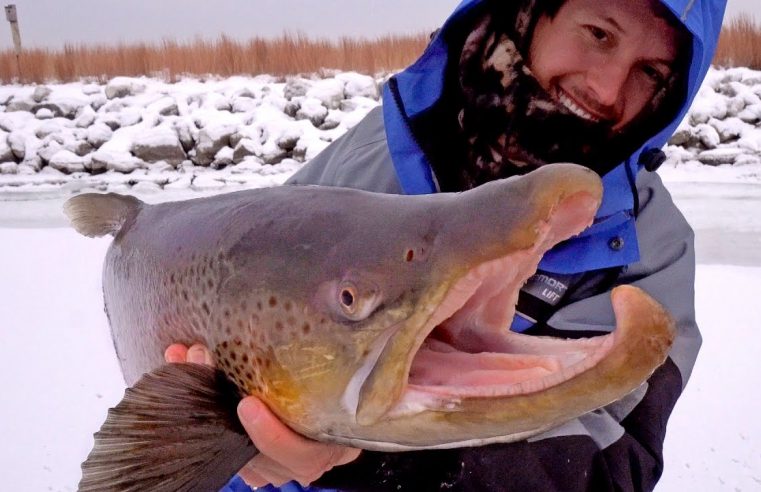 Ice Fishing for Giant Brown Trout — ft. Eric Haataja — 4K