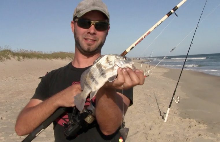 Surf Fishing Hatteras