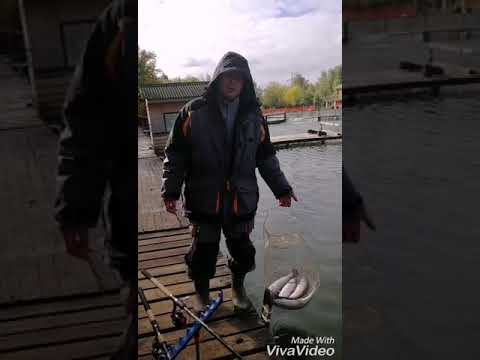 Рыбалка у Бородина