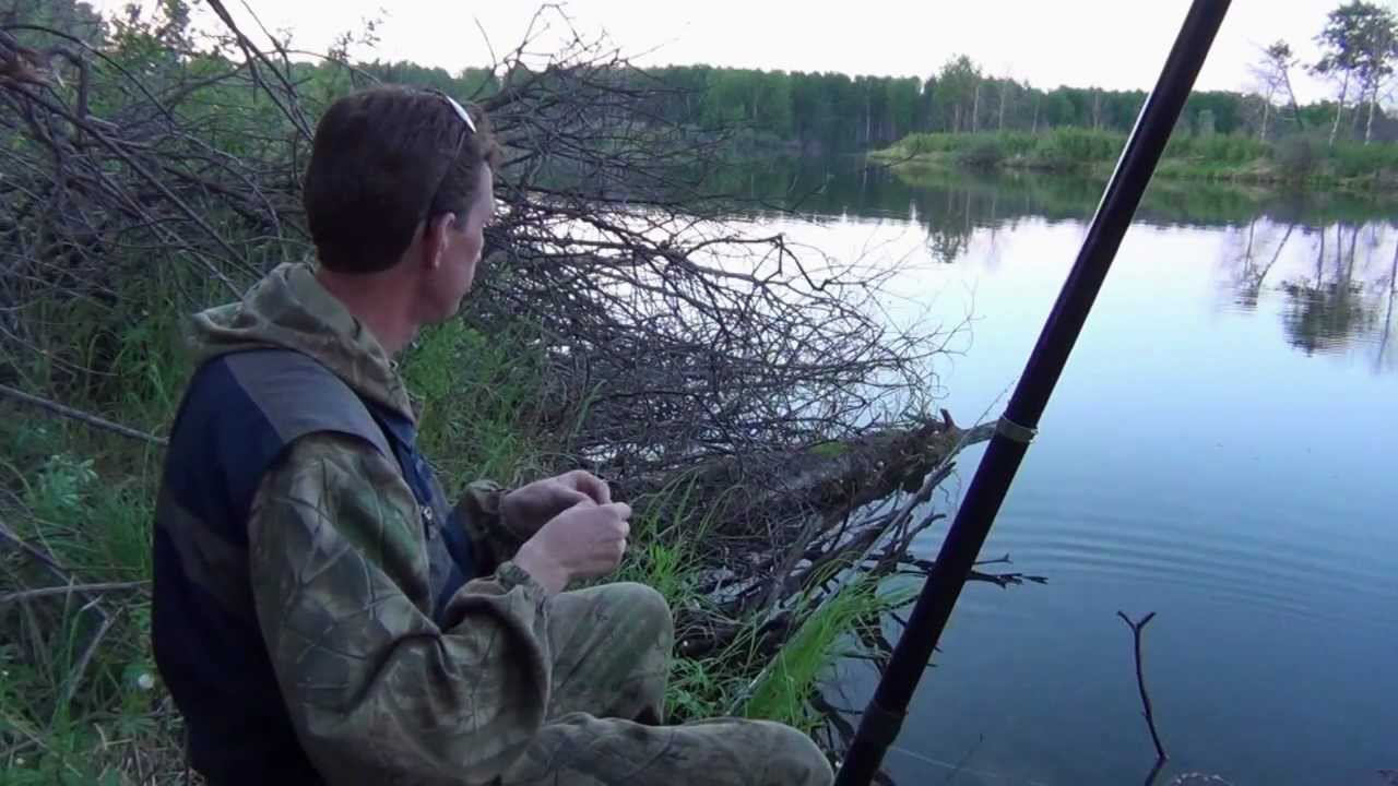 Ловля карася на озере Кривом.