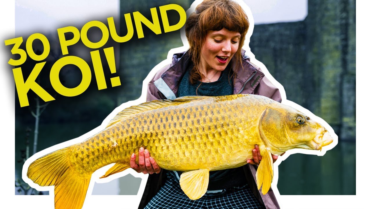 GIANT GOLDEN FISH caught with BREAD! Carp Fishing
