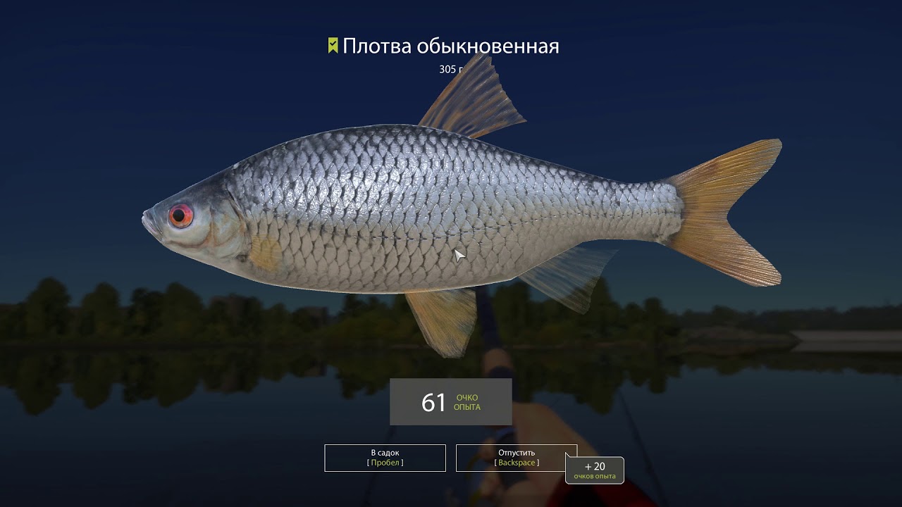 Русская рыбалка 4 — река Волхов — На ручейника с причала