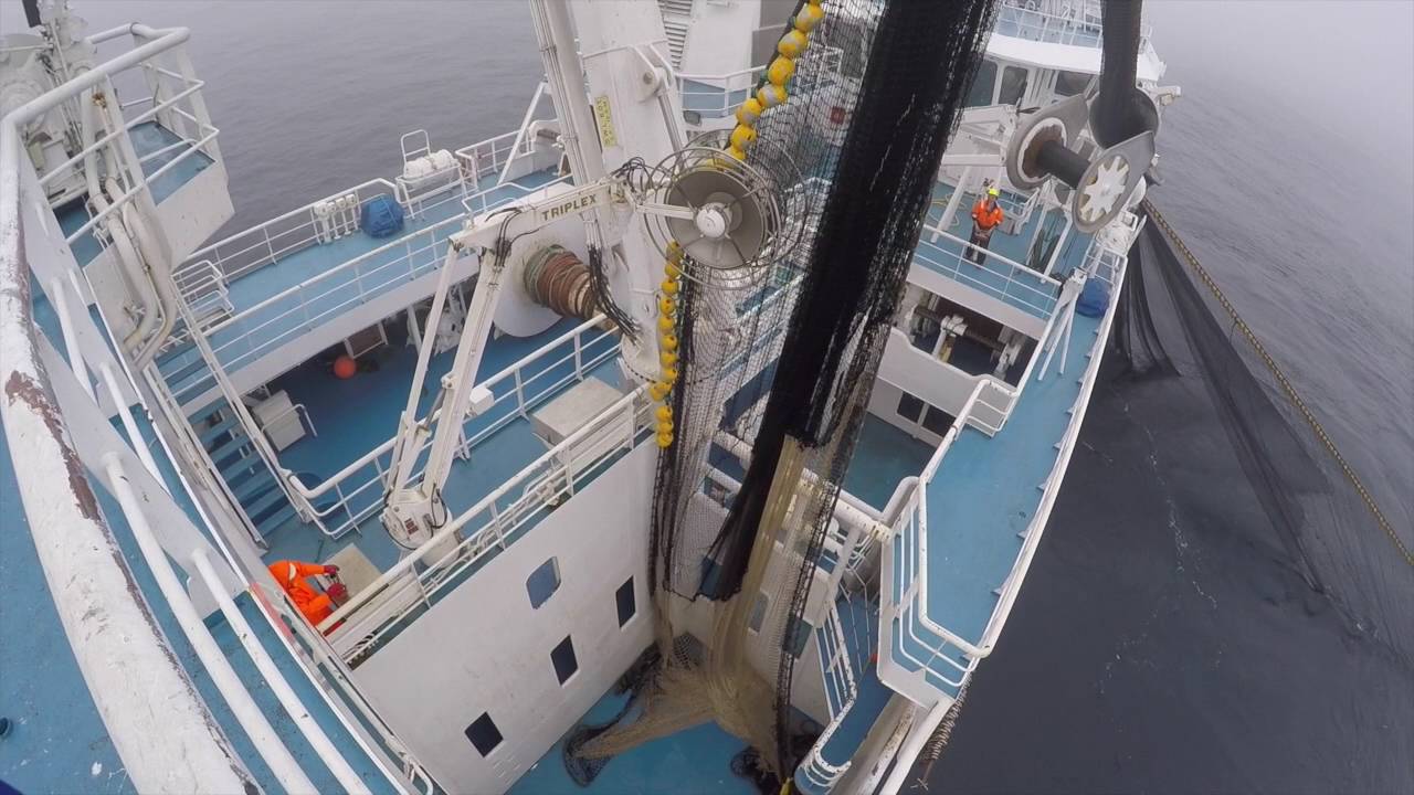 M/S TEIGENES, a modern fishing vessel from Norway.