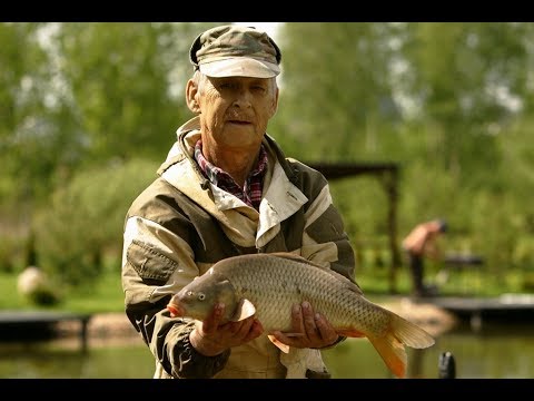 Платная рыбалка в Московской области. Платные пруды. Рыбалка в Москве.